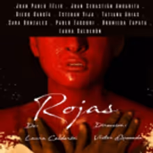 BWW Review: ROJAS at Sala Seki Sano