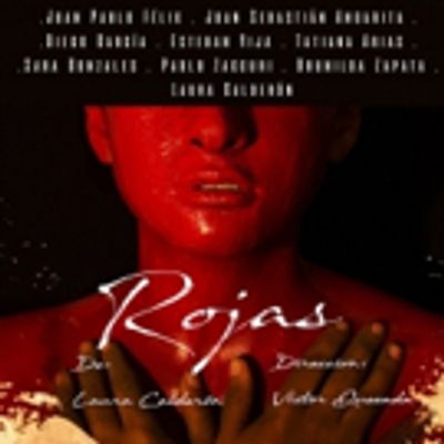 BWW Review: ROJAS at Sala Seki Sano