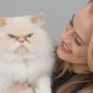 VIDEO: Broadway's CATS Supports Shelter Felines, Pet Adoption in New Campaign