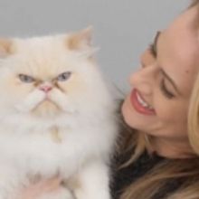 VIDEO: Broadway's CATS Supports Shelter Felines, Pet Adoption in New Campaign
