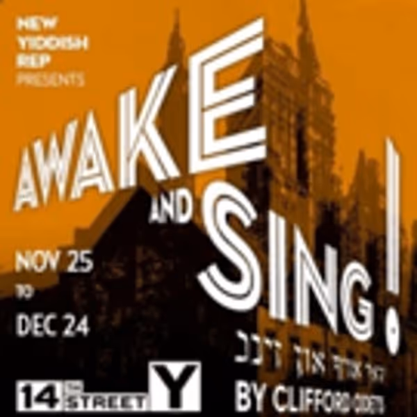 Israeli Husband & Wife Stars to Appear Off-Broadway in AWAKE AND SING! Photo