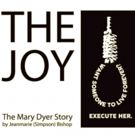 Metro Arts' THE JOY Director Uniquely Qualified
