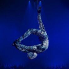 BWW Review: TOTEM, Royal Albert Hall