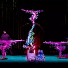 Cirque du Soleil's VAREKAI Adds Performance in Frisco