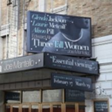 Up on the Marquee: Edward Albee's THREE TALL WOMEN