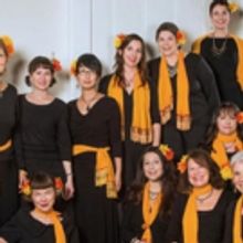 Nevenka, True Life Trio and Varimezovi Together in Concert this June