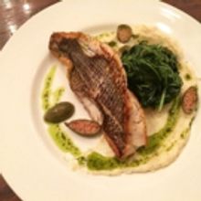 BWW Review: PLUM ON PARK in Montclair NJ for an Unforgettable Dining Experience