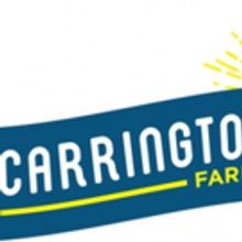 Introducing Crounon: Carrington Farms' Latest Organic, Gluten-Free Innovation