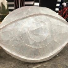 Michael Peavoy, Robert Jackson, Alexander Bean and Anne O'Riordan Lead Octagon Theatr