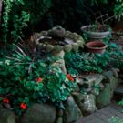 6th Annual LIC Arts Open Garden Party Announced