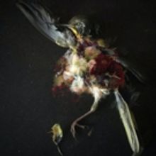 Saver To Release THE FIRST STEP IN LEAVING On 5/9