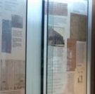 New Exhibit Explores How Race Relations Shaped Morris County