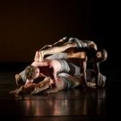 Carolyn Dorfman Dance Hosts Gala Benefit And Performance