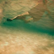 Inauguration Exhibition OBJECT ACTION: THE 'F' WORD IN A POST-TRUTH ERA Set for state