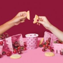 Museum Of Ice Cream Announces The Grand Opening Of 'The Pint Shop'