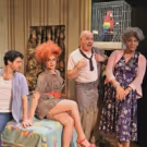 BWW REVIEW: Unrestrained Laughter in THE ARTIFICIAL JUNGLE