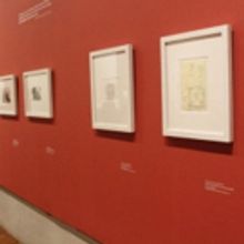 El Palacio De Bellas Artes Cierra Programa De Exposiciones Con Ricardo Martínez. Des