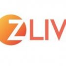 Z Living Schedules Hit Original Series THE BIG FAT TRUTH Marathon for Xmas Day