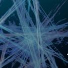Tesseract Theatre Opens New Play Two Degrees This March!