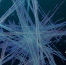 Tesseract Theatre Opens New Play Two Degrees This March!