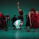 BWW Review: Re-telling a Twist of a Story with DADA MASILO/THE DANCE FACTORY