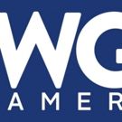  WGN America Picks Up Two New Detective Series, CARTER and GONE