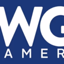 WGN America Picks Up Two New Detective Series, CARTER and GONE