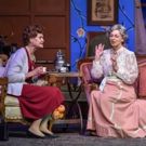 BWW Previews: MIDLANDS THEATRE ROUNDUP at Columbia, SC 1/19 - YOU CAN'T TAKE IT WITH…