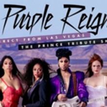 Prince Tribute, Purple Reign, Comes To Worcester