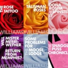 Provincetown Tennessee Williams Theater Festival Announces Season