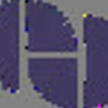 Houston Ballet Presents DON QUIXOTE