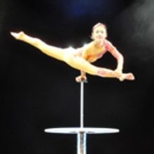 CIRQUE D'OR to Fly Into Victoria Theatre