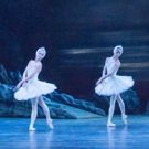 BWW Review: SWAN LAKE, Bristol Hippodrome