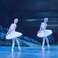 BWW Review: SWAN LAKE, Bristol Hippodrome Photo