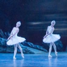 BWW Review: SWAN LAKE, Bristol Hippodrome
