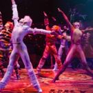 CATS Comes to Walton Arts Center 5/28 - 6/2!
