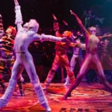 CATS Comes to Walton Arts Center 5/28 - 6/2!
