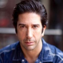 David Schwimmer to Helm PLANTATION! Premiere at Lookingglass Theatre