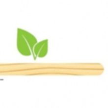 IT'S PINOCCHIO! Announces NYC Premier Production