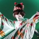 BWW Review: CONTEMPORARY DANCE FESTIVAL: JAPAN + EAST ASIA Sets the Bar &…