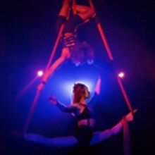 BWW Review: BECOMING SHADES, VAULT Festival
