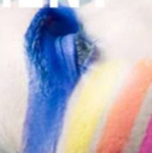 Proud Mary Theatre Presents Two World Premieres