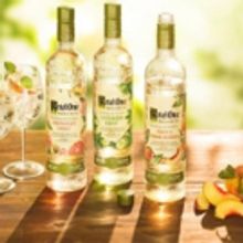 Marinas Menu & Lifestyle: KETEL ONE BOTANICAL is Elegant and Refreshing