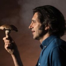 MUSHROOM CURE Offers Future of Psychedelic Therapy Talkback on 12/16