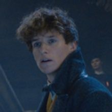 VIDEO: Watch The Official Comic-Con Trailer For 'Fantastic Beasts: The Crimes of…