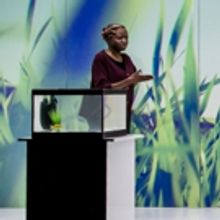 BWW Review: HANG, Crucible Studio, Sheffield