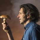 THE MUSHROOM CURE to Offer 'Future of Psychedelic Therapy' Talkback Off-Broadway