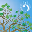 Colorado Vocal Arts Ensemble Presents DA VINCI'S DREAMS: MUSIC AND THE NATURE OF…