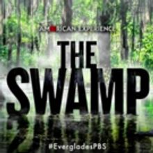 PBS' 'American Experience' to Premiere THE SWAMP