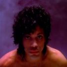 BWW Poll Results: Readers Want a Prince Musical to Head to Broadway Next!